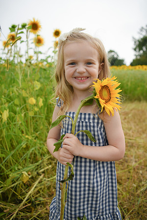 2023 sunflowers [schubert] 110