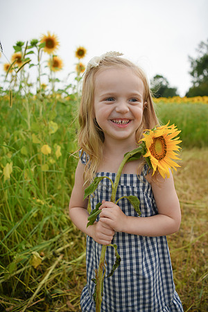 2023 sunflowers [schubert] 111