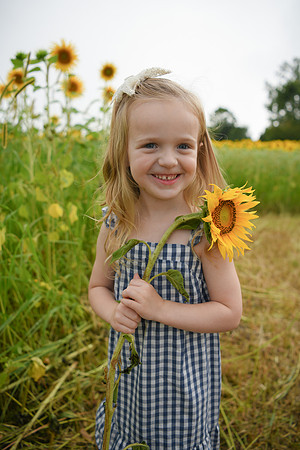 2023 sunflowers [schubert] 113