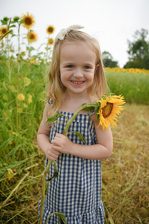 2023 sunflowers [schubert] 114