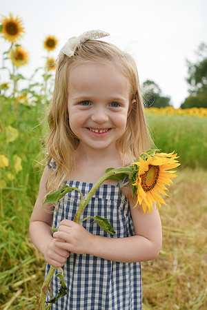 2023 sunflowers [schubert] 115