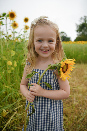 2023 sunflowers [schubert] 116