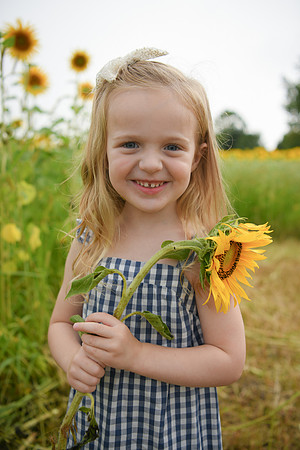 2023 sunflowers [schubert] 118