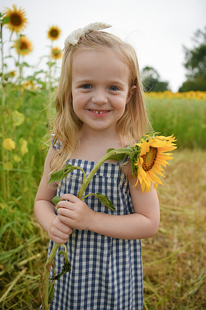 2023 sunflowers [schubert] 117