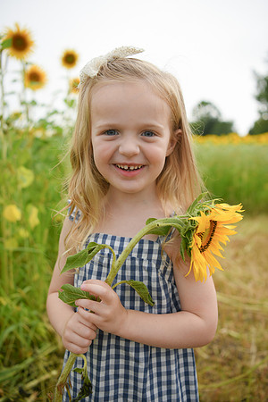 2023 sunflowers [schubert] 119
