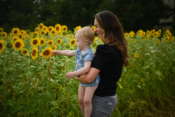 2023 sunflowers [schubert] 121