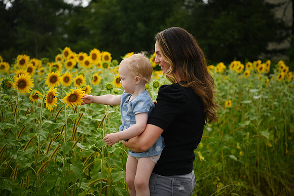2023 sunflowers [schubert] 122