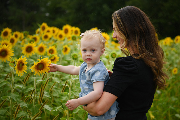 2023 sunflowers [schubert] 123