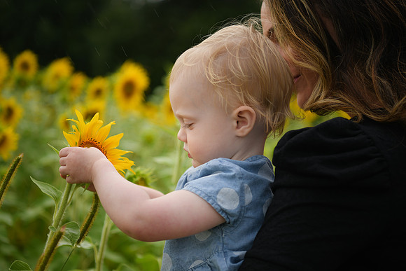 2023 sunflowers [schubert] 135