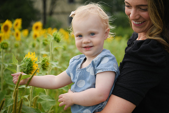 2023 sunflowers [schubert] 140