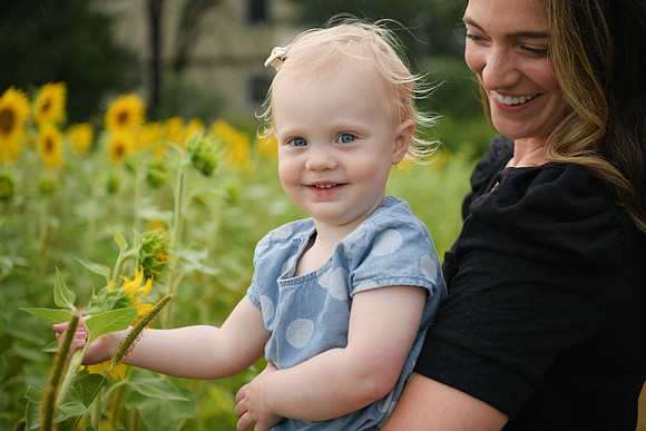 2023 sunflowers [schubert] 141