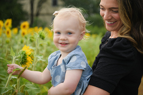 2023 sunflowers [schubert] 142