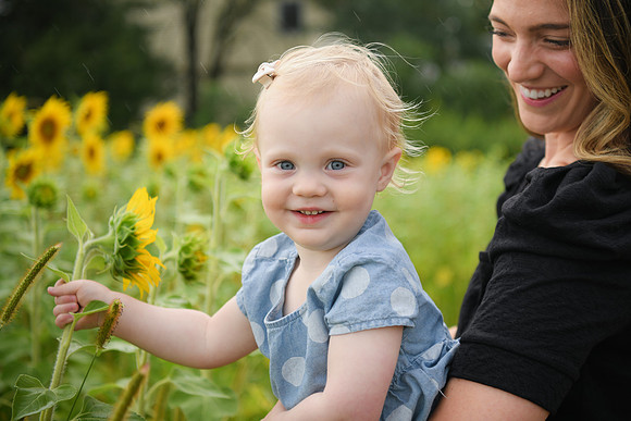 2023 sunflowers [schubert] 143