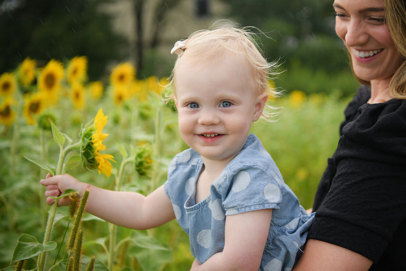 2023 sunflowers [schubert] 144