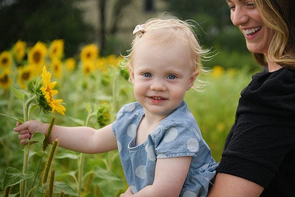 2023 sunflowers [schubert] 147