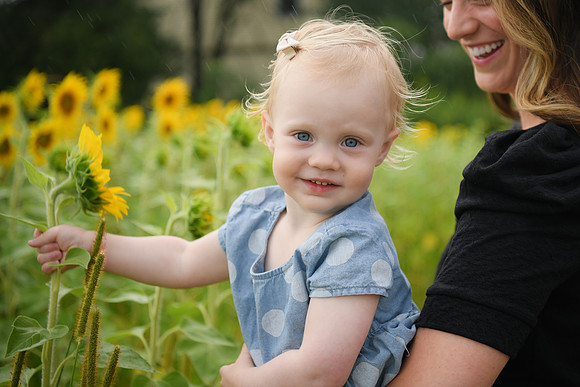 2023 sunflowers [schubert] 148