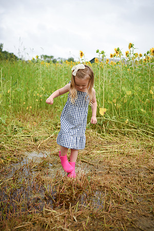 2023 sunflowers [schubert] 171