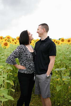 2023 sunflowers [bernard] 009