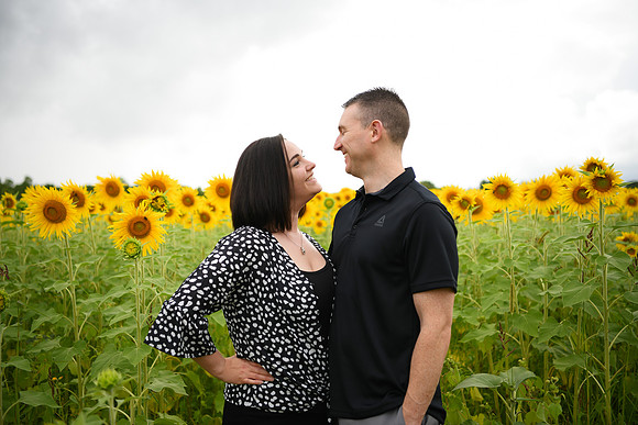 2023 sunflowers [bernard] 011
