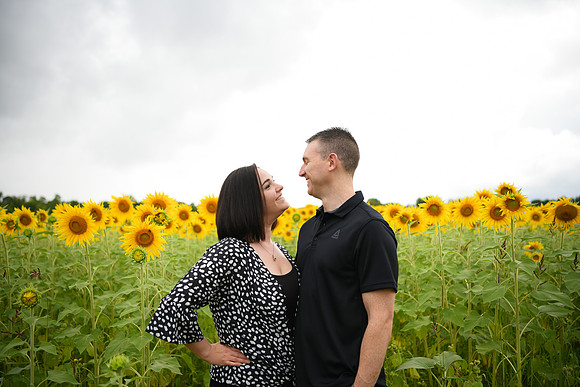 2023 sunflowers [bernard] 012
