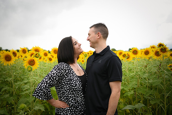 2023 sunflowers [bernard] 013