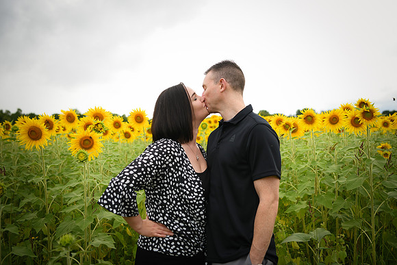 2023 sunflowers [bernard] 014