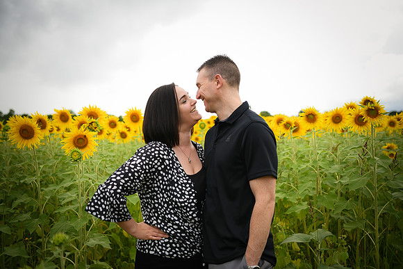 2023 sunflowers [bernard] 015