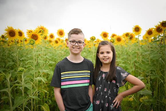 2023 sunflowers [bernard] 018