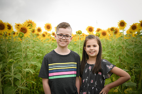 2023 sunflowers [bernard] 019