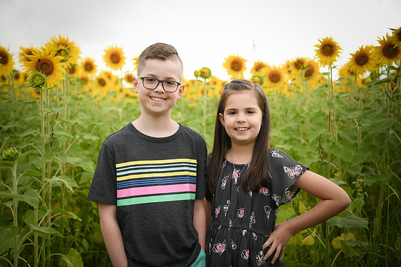 2023 sunflowers [bernard] 020