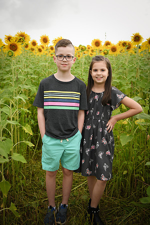 2023 sunflowers [bernard] 021