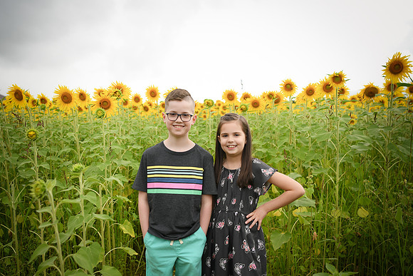 2023 sunflowers [bernard] 024