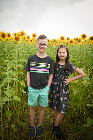 2023 sunflowers [bernard] 022