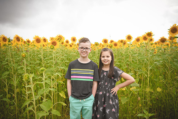 2023 sunflowers [bernard] 025