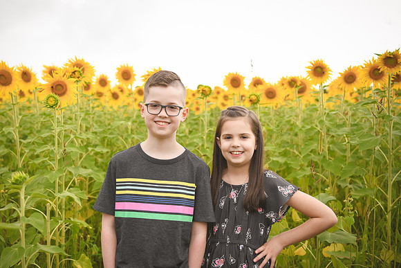 2023 sunflowers [bernard] 026