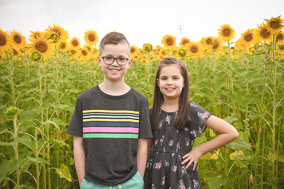2023 sunflowers [bernard] 027