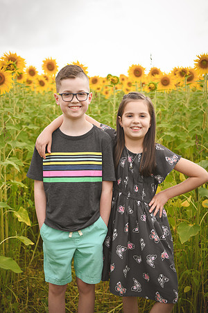 2023 sunflowers [bernard] 028