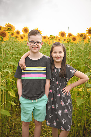 2023 sunflowers [bernard] 029