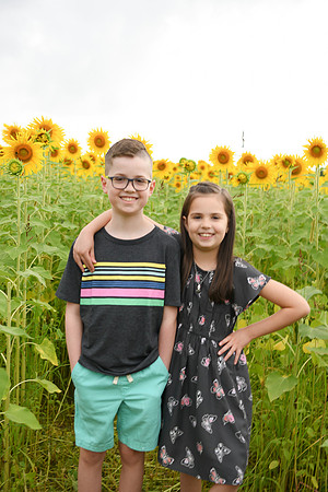 2023 sunflowers [bernard] 030
