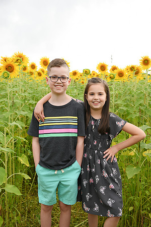 2023 sunflowers [bernard] 031