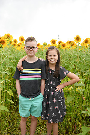 2023 sunflowers [bernard] 032