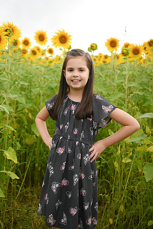 2023 sunflowers [bernard] 034