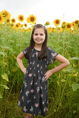 2023 sunflowers [bernard] 035