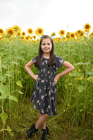 2023 sunflowers [bernard] 033