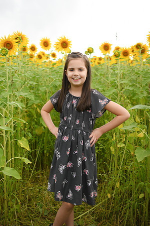 2023 sunflowers [bernard] 036