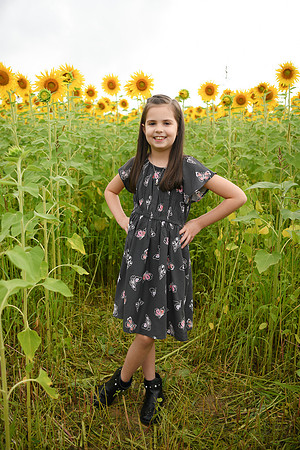 2023 sunflowers [bernard] 037