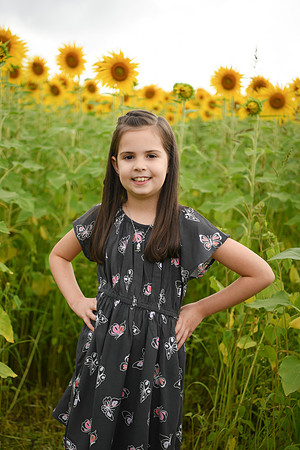 2023 sunflowers [bernard] 038