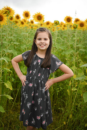 2023 sunflowers [bernard] 039