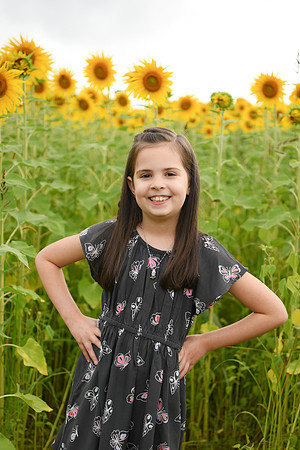 2023 sunflowers [bernard] 041