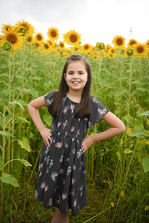 2023 sunflowers [bernard] 040